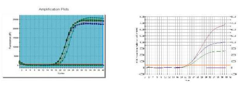 ʵӫⶨPCR